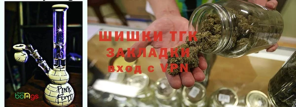 тгк Володарск