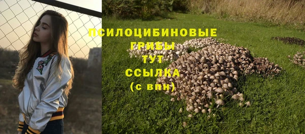 крисы Волоколамск