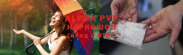 тгк Володарск