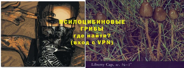 крисы Волоколамск