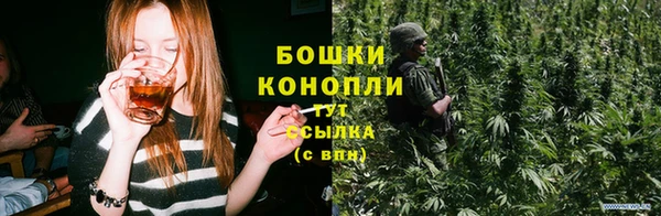 тгк Володарск