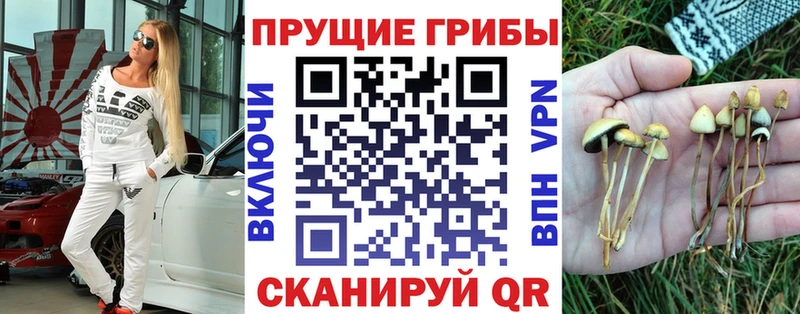 Псилоцибиновые грибы Psilocybe  Купить  Краснокаменск 